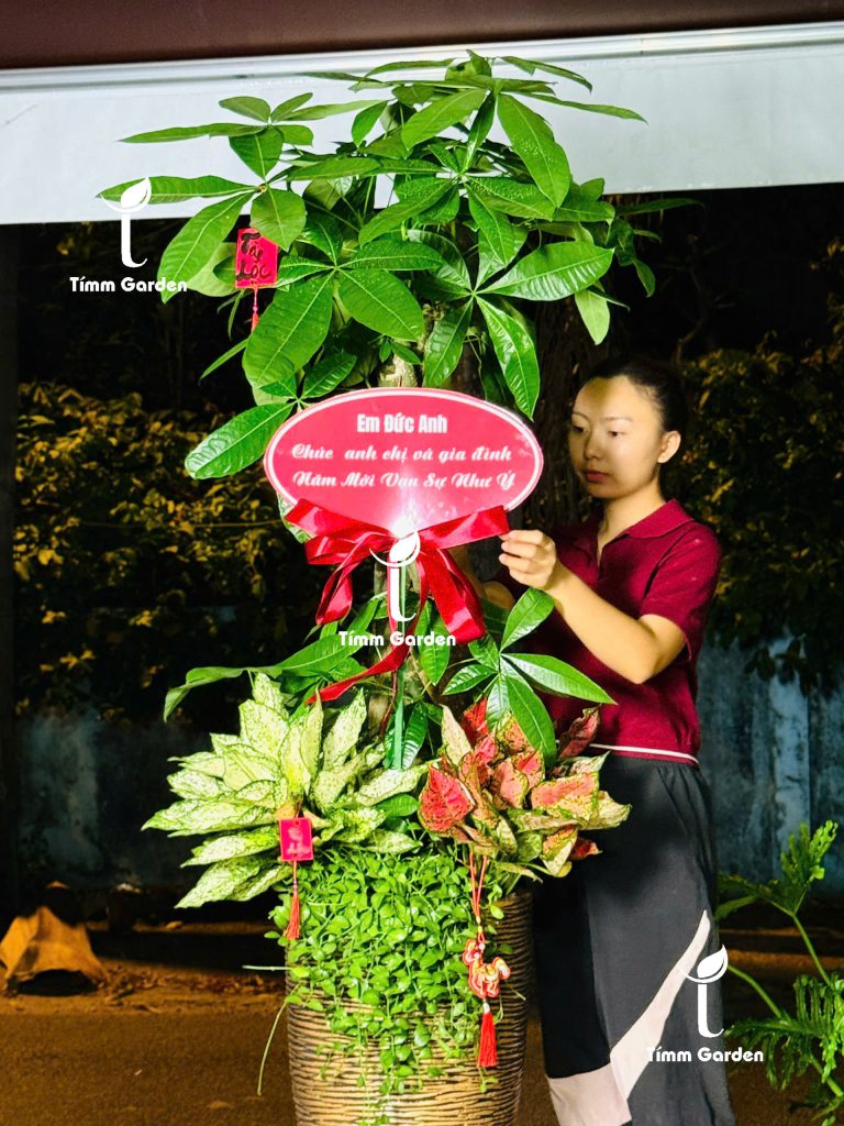 chau-kim-ngan-bim-size-dai-vip