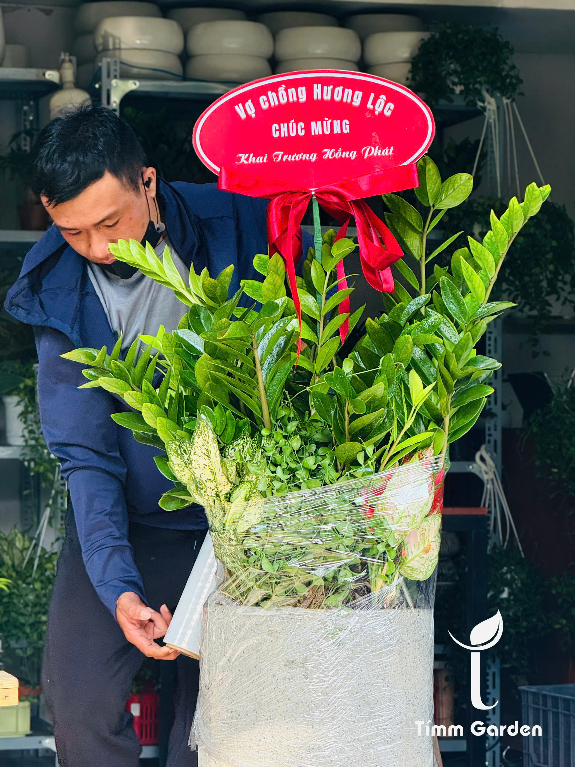 Chậu Kim Tiền Tặng Khai Trương, Tân Gia - Size Đại, Phối Kết - Ảnh 11