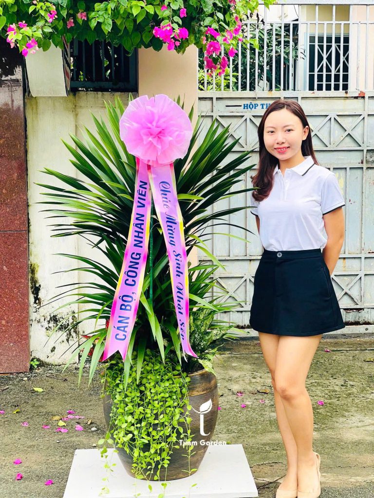 Phát tài núi - Quà tặng khai trương cửa hàng hàn quốc