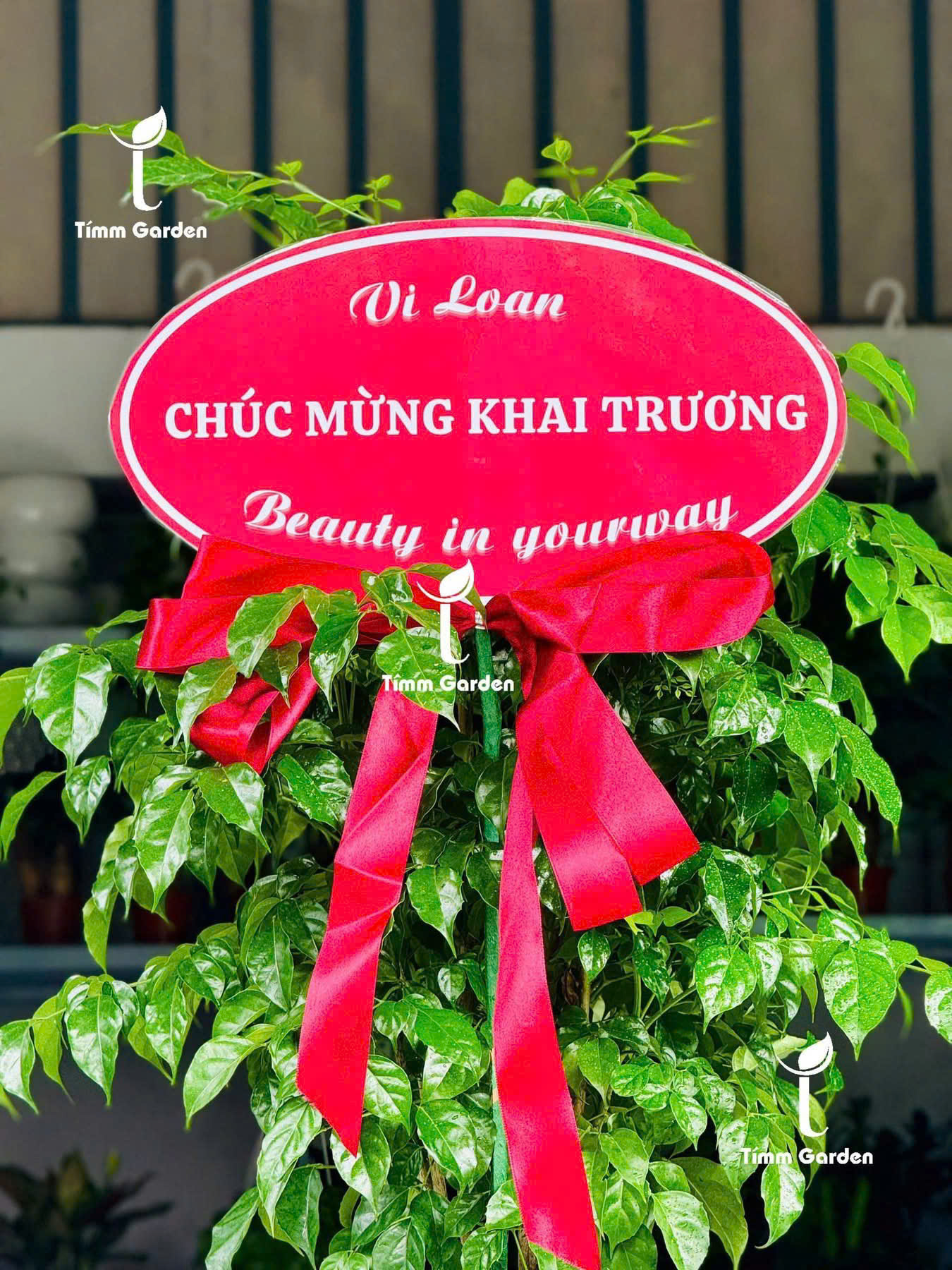 CÂY HẠNH PHÚC TẶNG KHAI TRƯƠNG, TÂN GIA – GIAO NHANH HCM - Ảnh 9