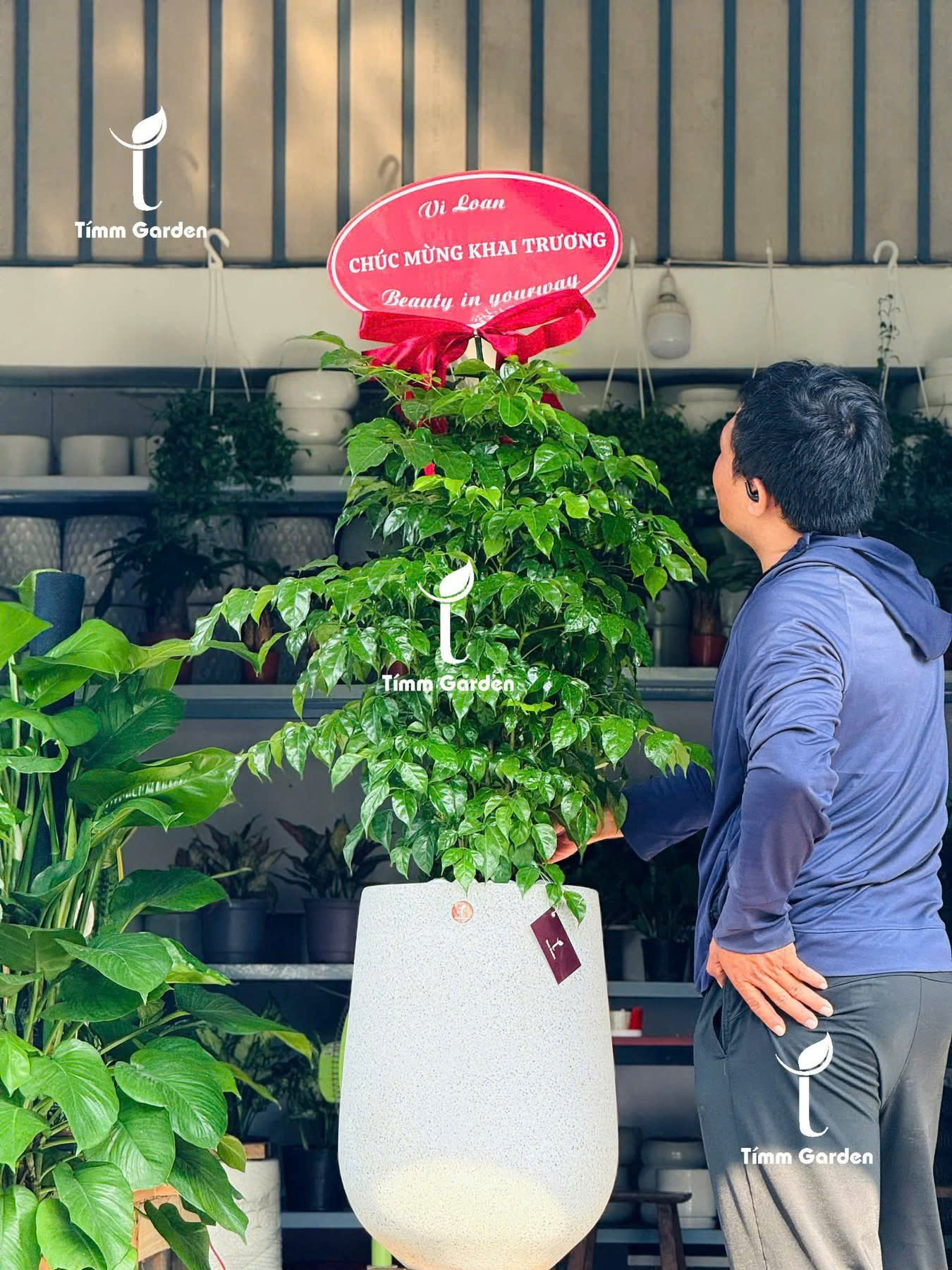 CÂY HẠNH PHÚC TẶNG KHAI TRƯƠNG, TÂN GIA – GIAO NHANH HCM - Ảnh 10