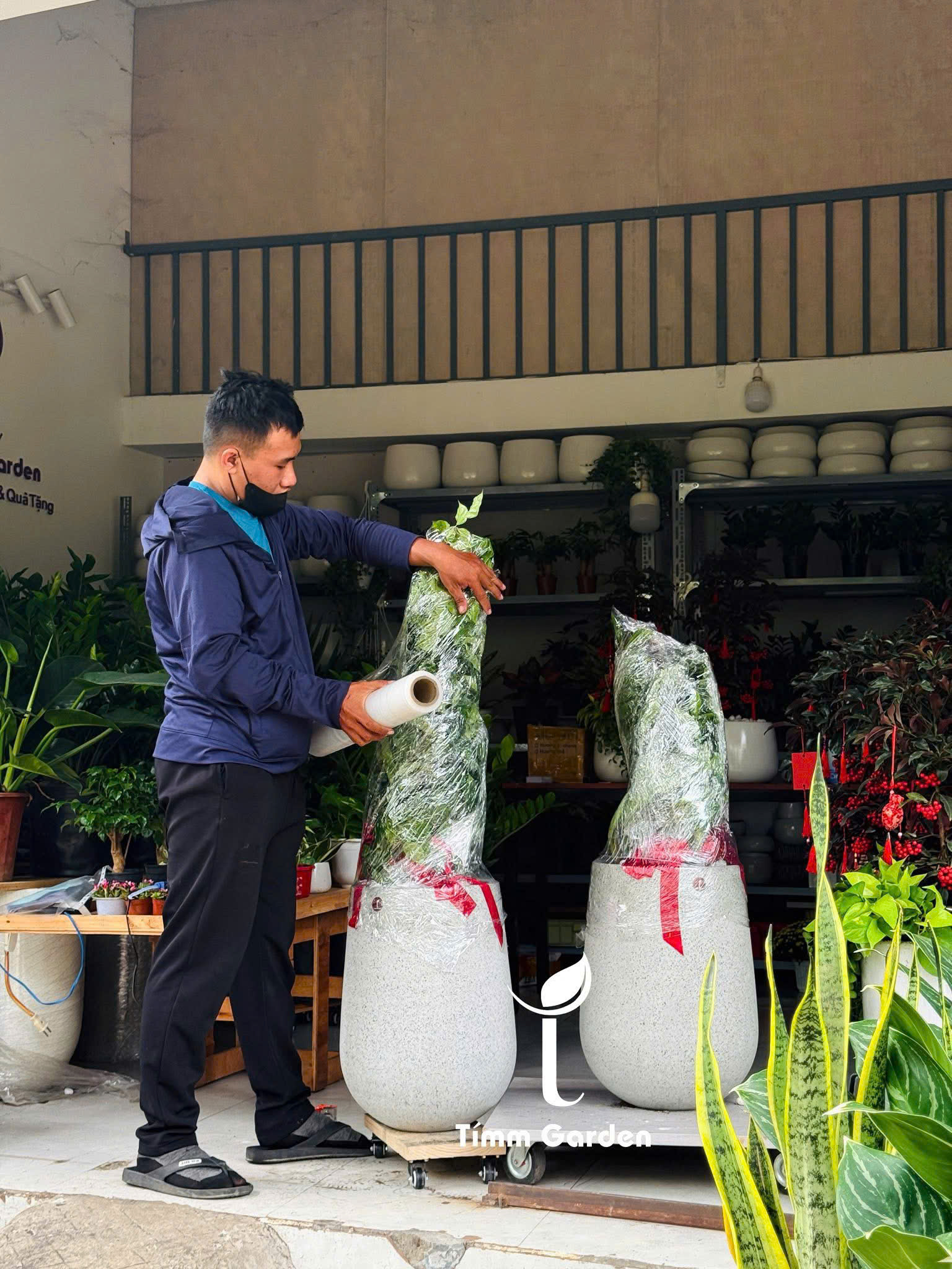 CÂY HẠNH PHÚC TẶNG KHAI TRƯƠNG, TÂN GIA – GIAO NHANH HCM - Ảnh 13