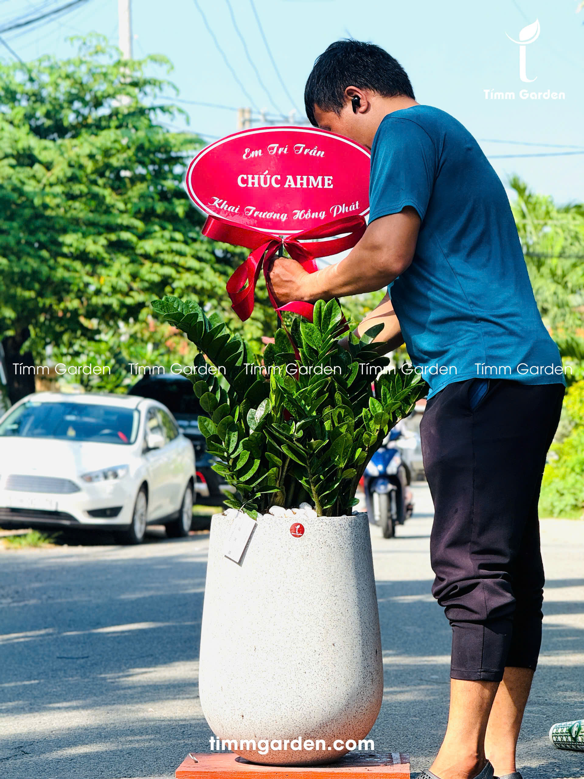 CHẬU KIM TIỀN TẶNG KHAI TRƯƠNG, TÂN GIA – SANG TRỌNG, GIAO NHANH HCM - Ảnh 7
