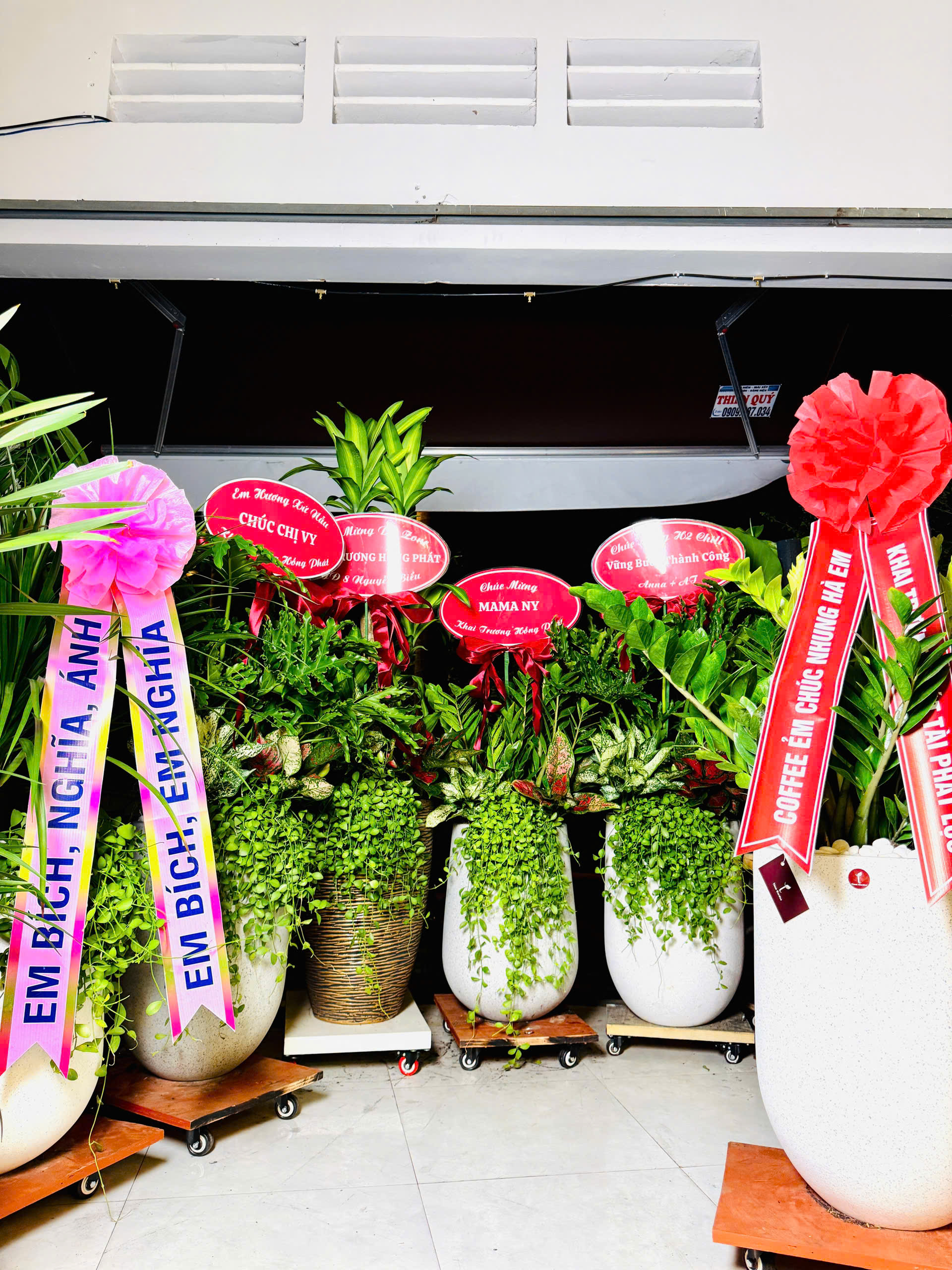 CÂY KHAI TRƯƠNG HÀN QUỐC – PHÁT TÀI NÚI THÁI 2 TẦNG SIZE ĐẠI | 개업을 축하드립니다 - Ảnh 17