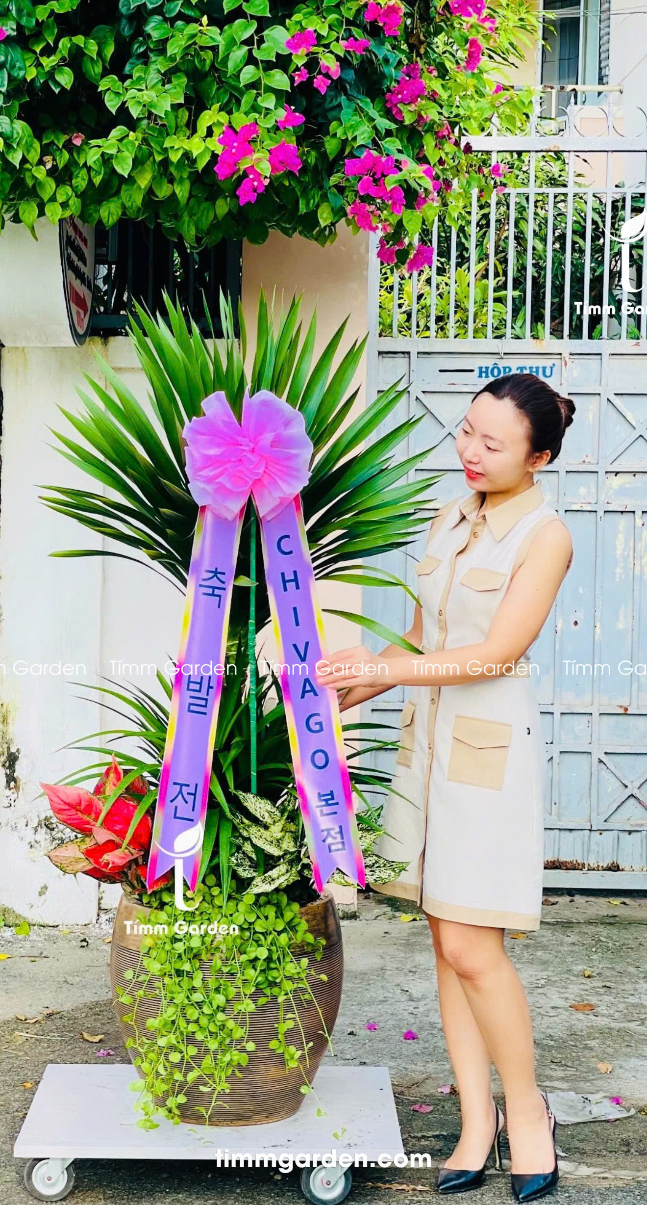 CÂY KHAI TRƯƠNG HÀN QUỐC – PHÁT TÀI NÚI THÁI 2 TẦNG SIZE ĐẠI | 개업을 축하드립니다
