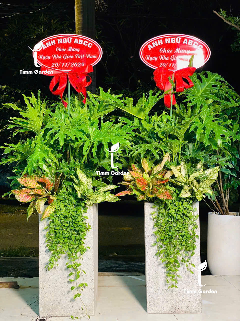 Cây Trầu Bà Thanh Xuân Tăng khai trương