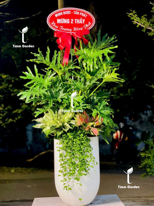 Alternative view of CHẬU TRẦU BÀ THANH XUÂN PHỐI KẾT – QUÀ TẶNG KHAI TRƯƠNG SANG TRỌNG