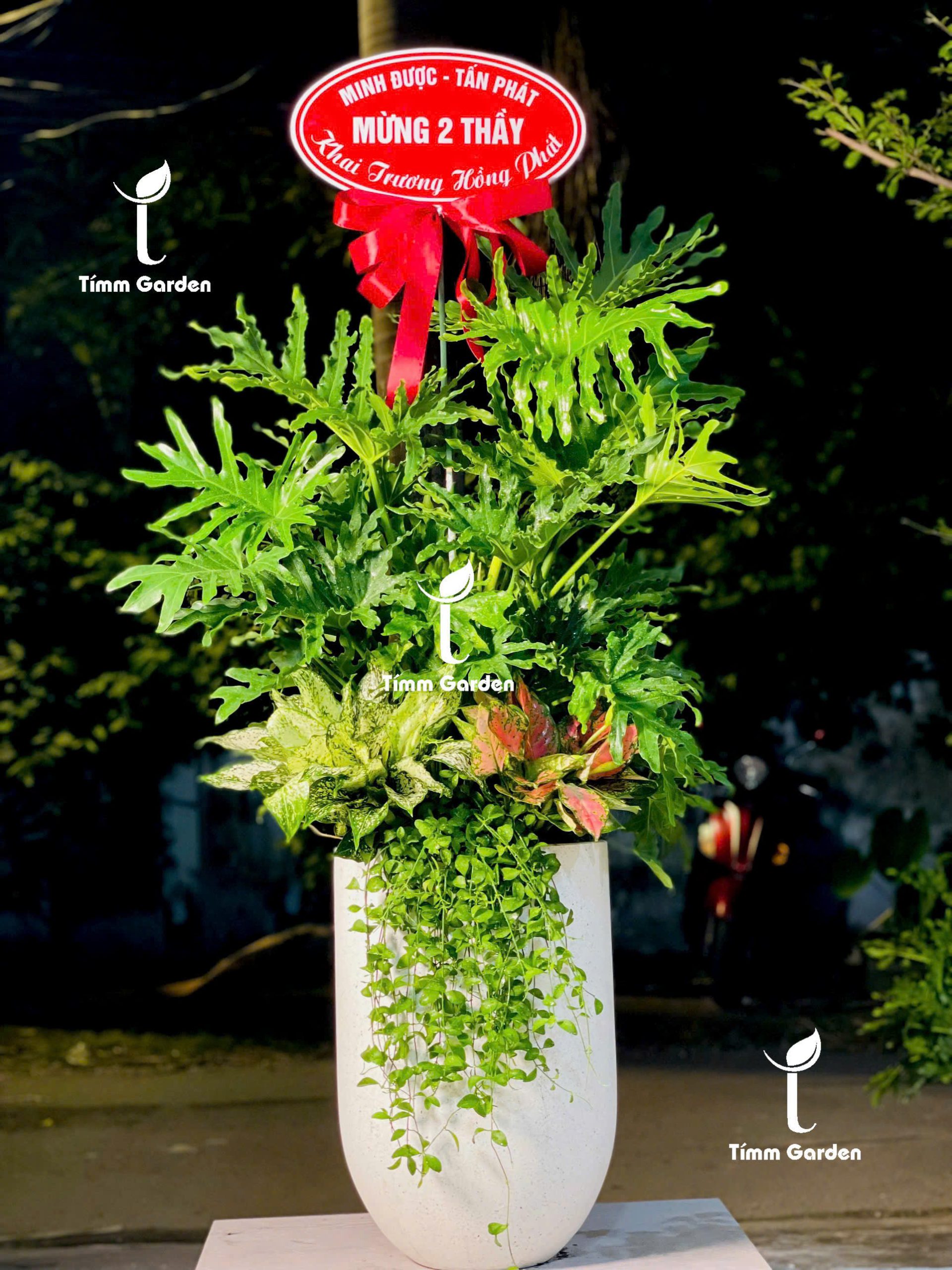 CHẬU TRẦU BÀ THANH XUÂN PHỐI KẾT – QUÀ TẶNG KHAI TRƯƠNG SANG TRỌNG - Ảnh 2