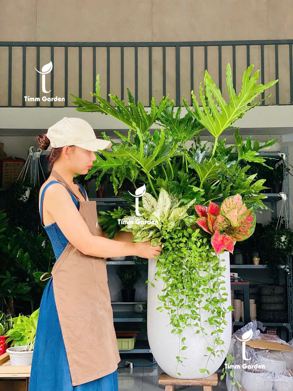 CHẬU TRẦU BÀ THANH XUÂN PHỐI KẾT – QUÀ TẶNG KHAI TRƯƠNG SANG TRỌNG