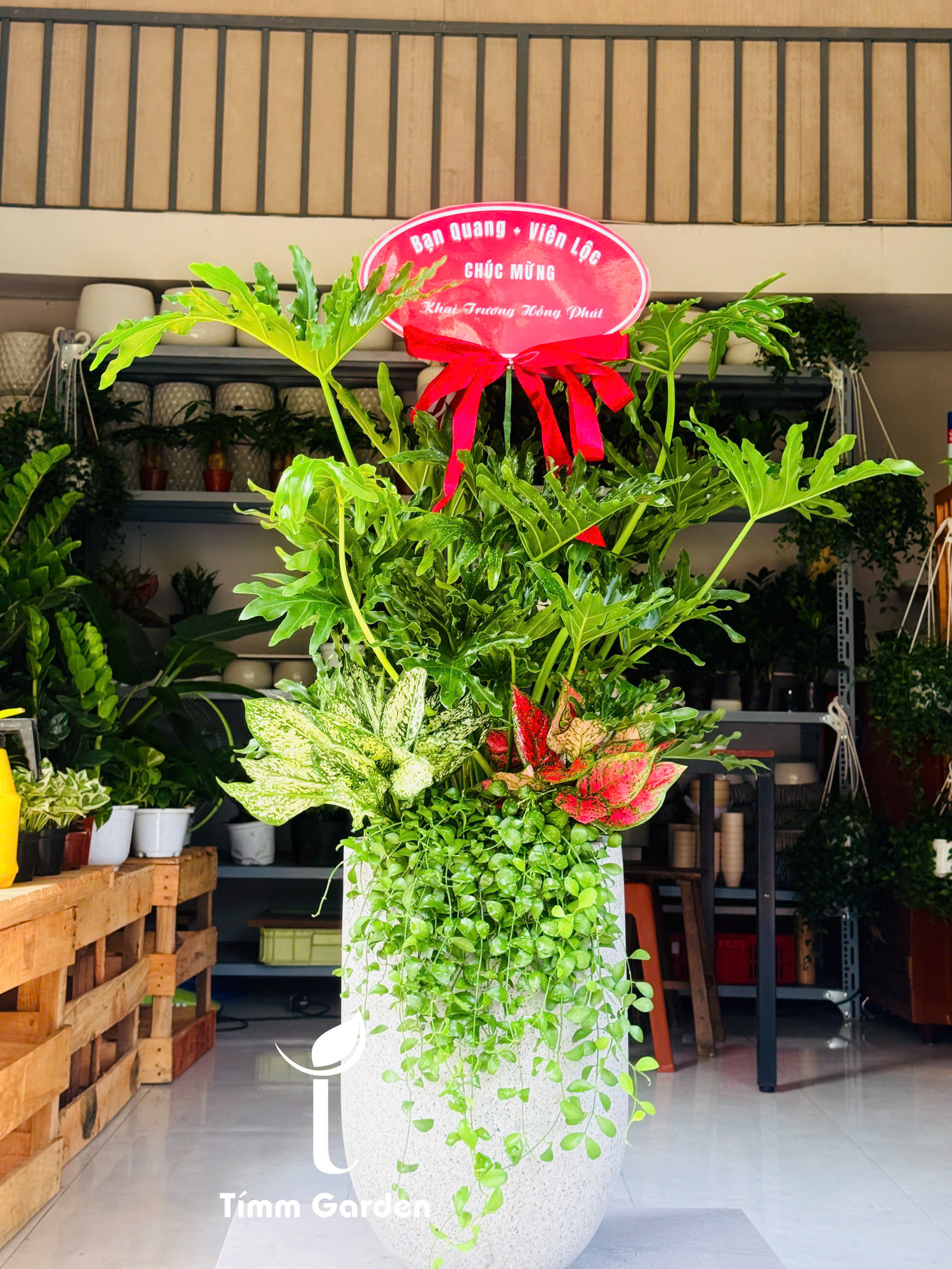 CHẬU TRẦU BÀ THANH XUÂN PHỐI KẾT – QUÀ TẶNG KHAI TRƯƠNG SANG TRỌNG - Ảnh 7