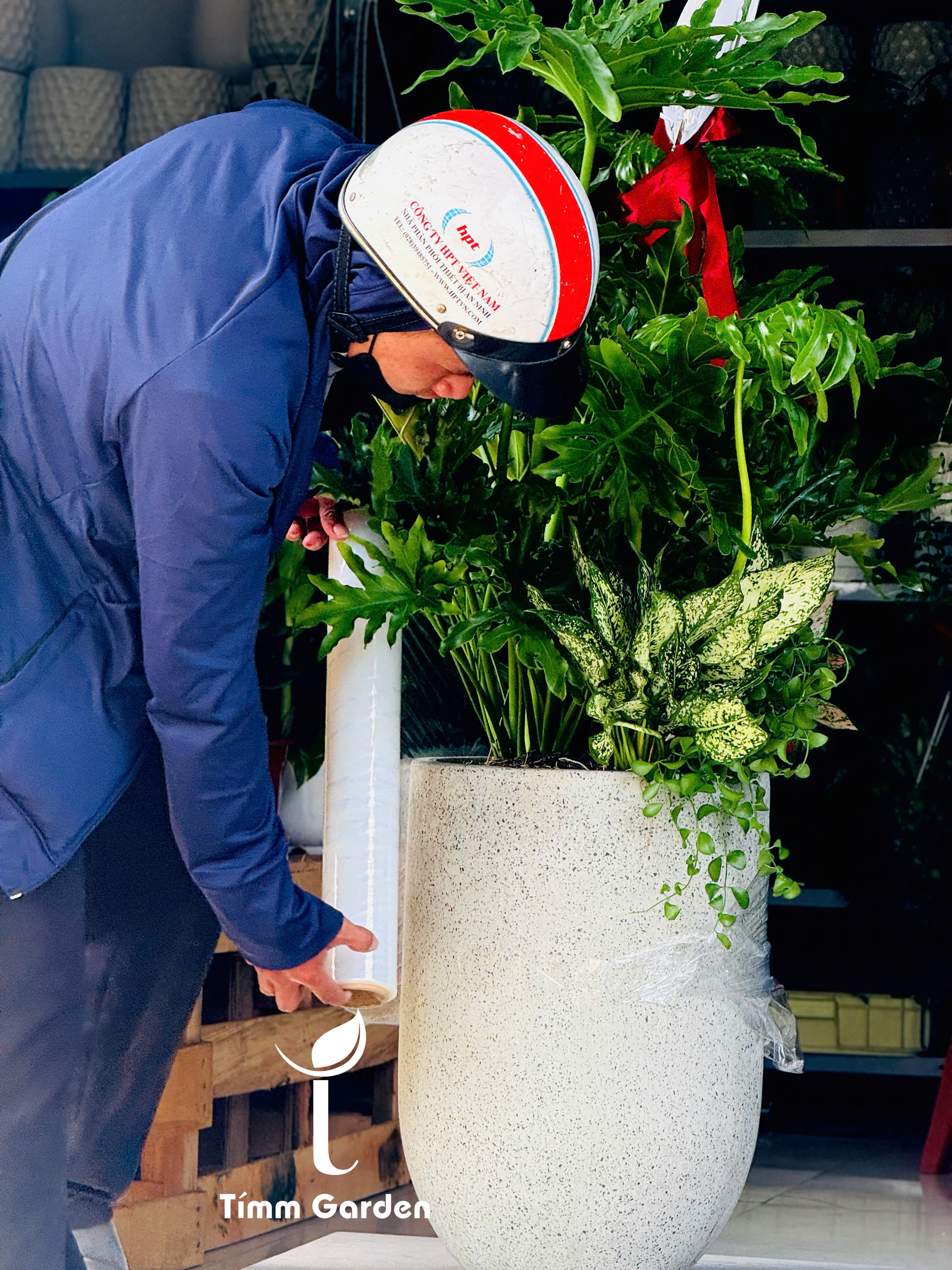 CHẬU TRẦU BÀ THANH XUÂN PHỐI KẾT – QUÀ TẶNG KHAI TRƯƠNG SANG TRỌNG - Ảnh 8