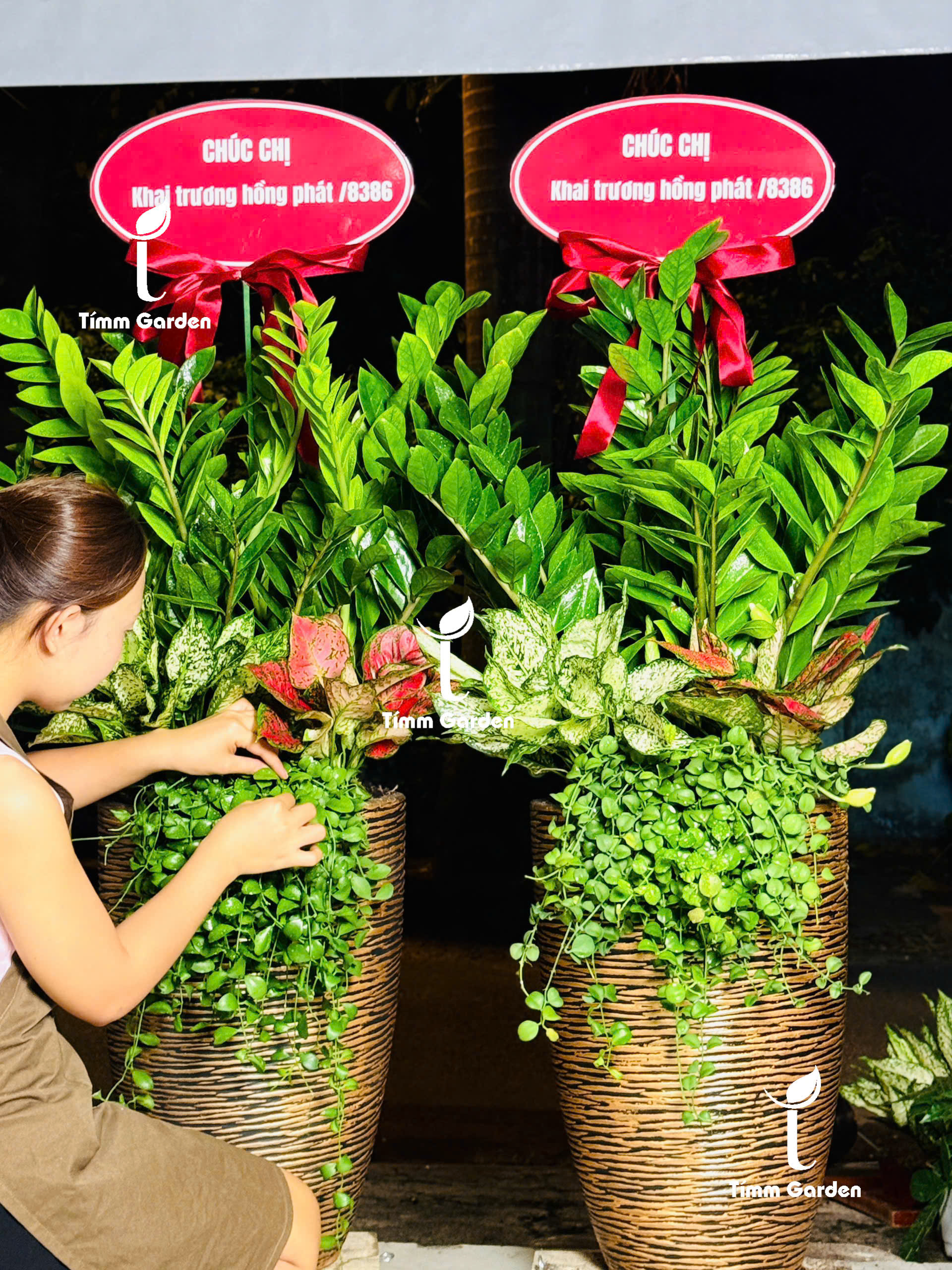 CHẬU KIM TIỀN PHONG THỦY KHAI TRƯƠNG CAO CẤP SIZE ĐẠI – GIAO NHANH HCM - Ảnh 9