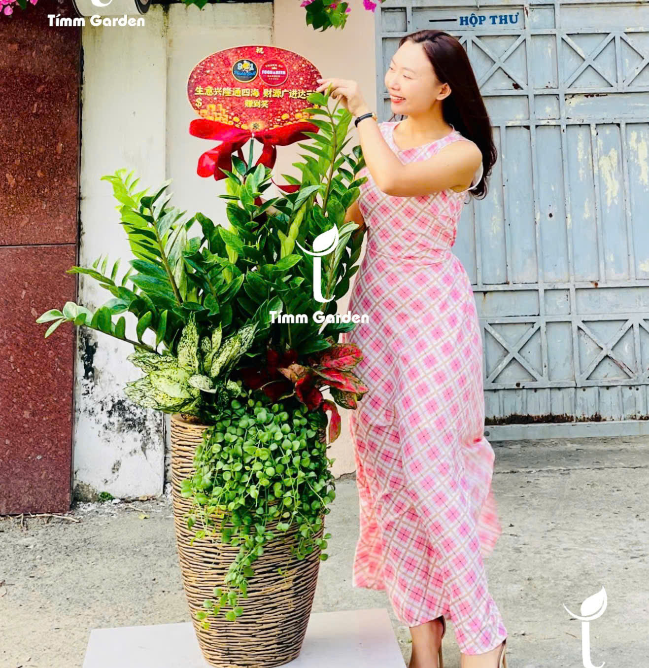 CHẬU KIM TIỀN PHONG THỦY KHAI TRƯƠNG CAO CẤP SIZE ĐẠI – GIAO NHANH HCM