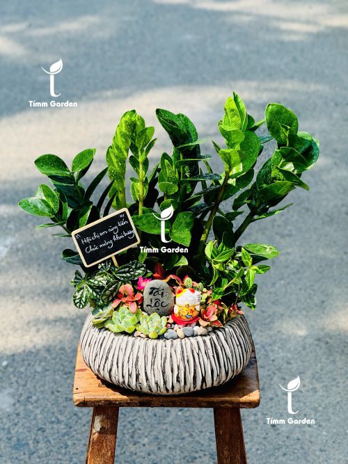 SEN ĐÁ TIỂU CẢNH KHAI TRƯƠNG ĐỂ BÀN LỄ TÂN – SANG TRỌNG