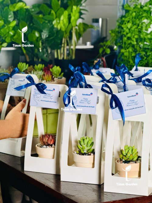 SET SEN ĐÁ QUÀ TẶNG DOANH NGHIỆP – THIẾT KẾ RIÊNG THEO THƯƠNG HIỆU