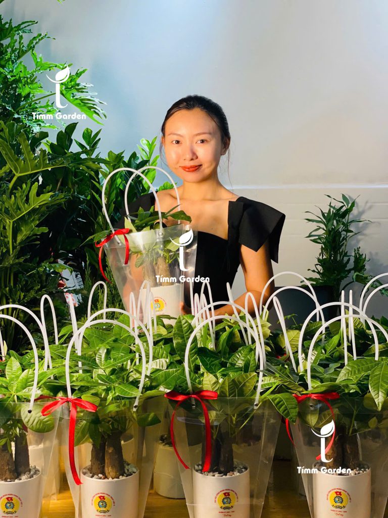 Chậu cây in logo doanh nghiệp quà tặng khách hàng sự kiện tại HCM