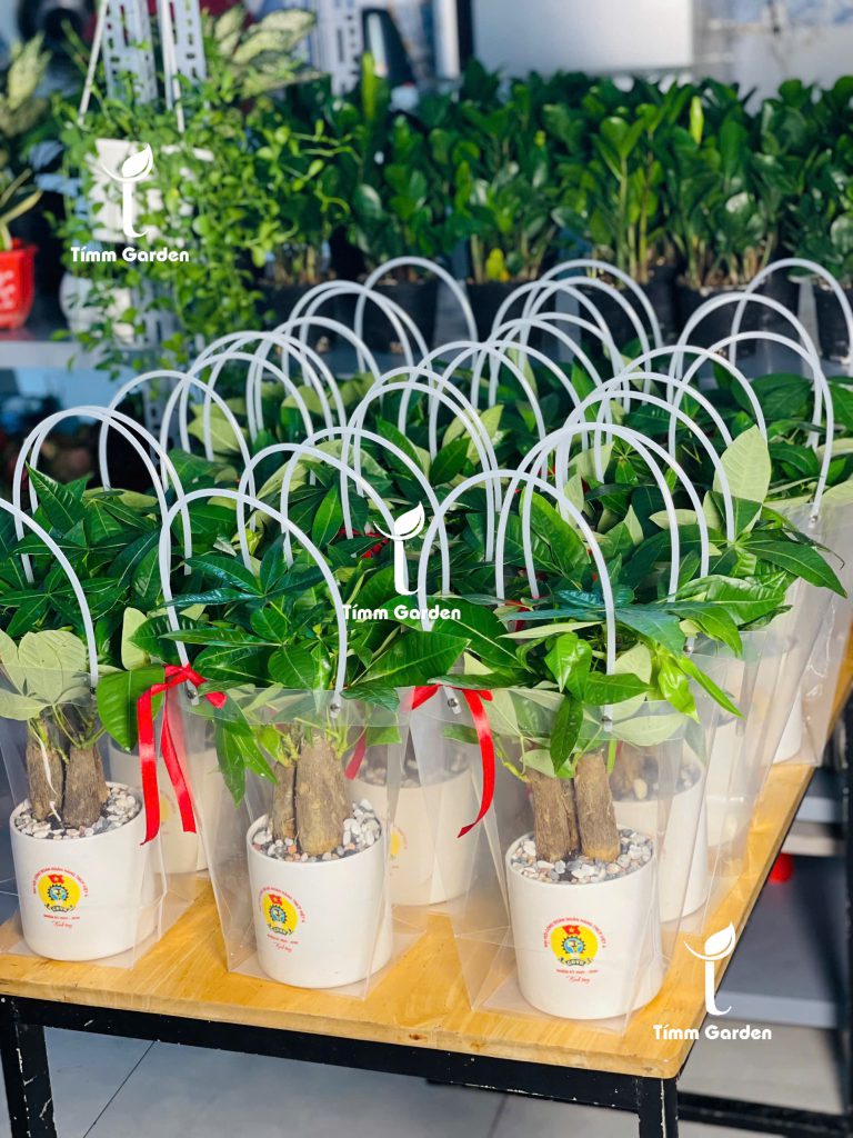quà tặng sự kiện doanh nghiệp
