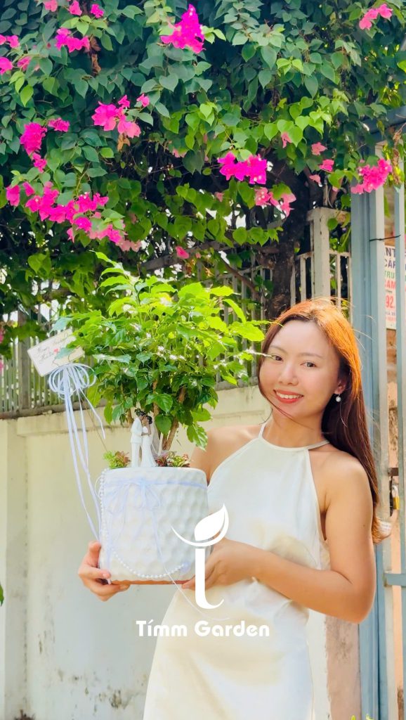 Chậu cây Hạnh Phúc Đám cưới