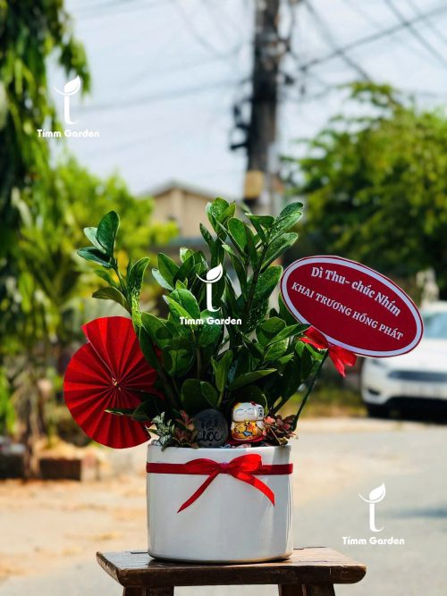 Kim Tiền để bàn tặng khai trương