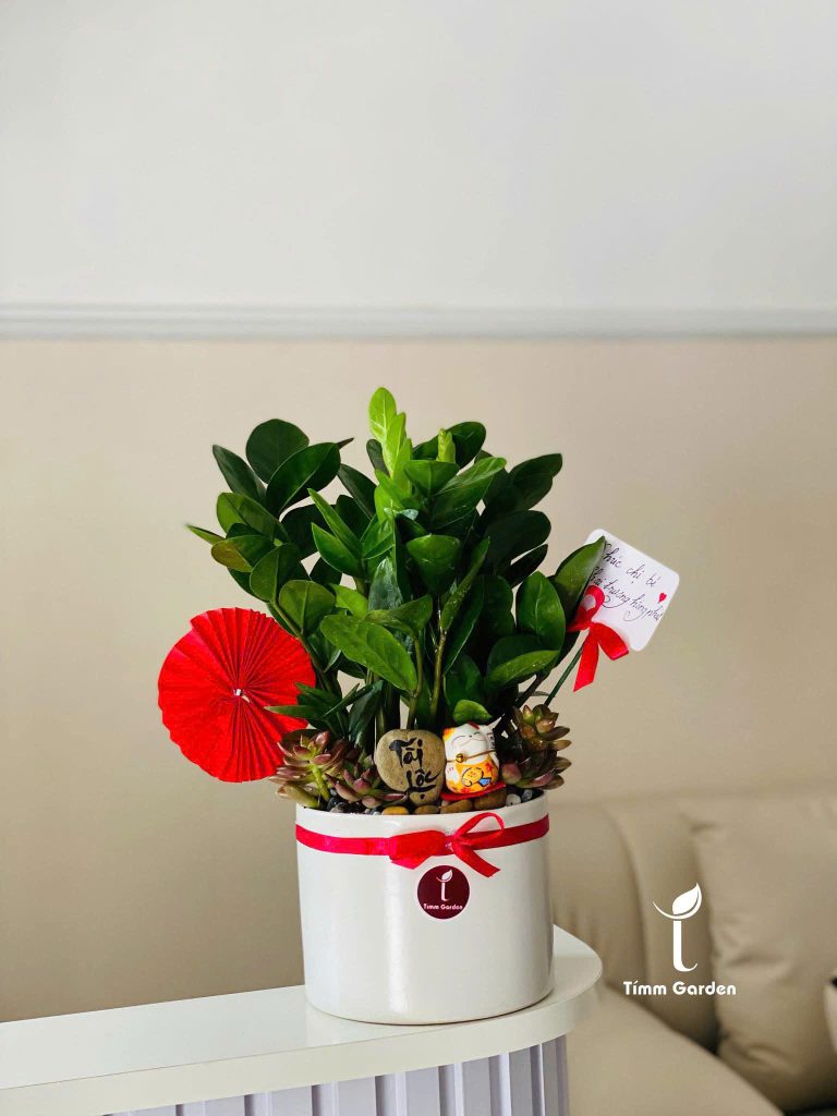 Mua kim tiền để bàn giao nhanh tại HCM
