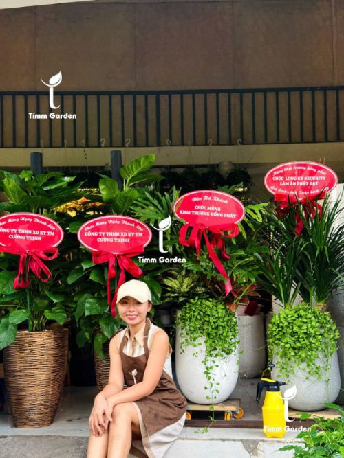 Alternative view of TRẦU BÀ LEO CỘT TẶNG KHAI TRƯƠNG - CHẬU MÀU ĐỒNG