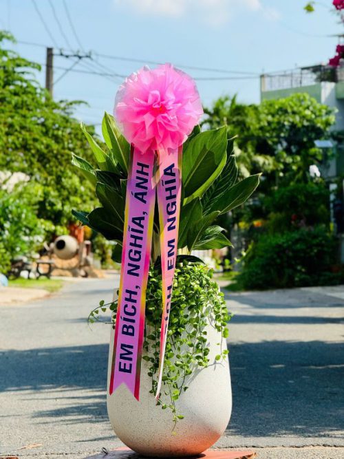 Alternative view of Cây Khai Trương Hàn Quốc (Kèm Ruy Băng) - Bạch Mã Hoàng Tử