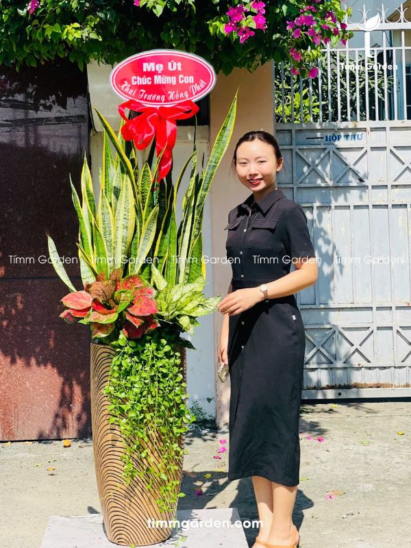 Lưỡi Hổ Tặng Khai Trương, Tân Gia