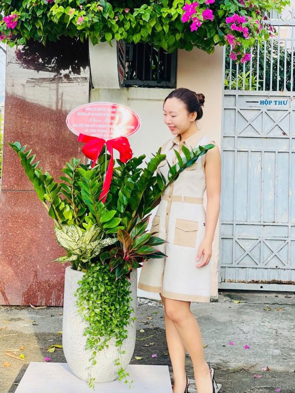 Chậu Kim Tiền Phối Kết Size Đại