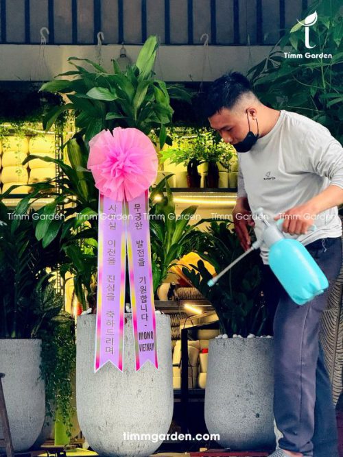 THIẾT MỘC LAN - RUY BĂNG HÀN QUỐC KHAI TRƯƠNG