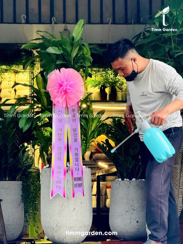 THIẾT MỘC LAN - RUY BĂNG HÀN QUỐC KHAI TRƯƠNG