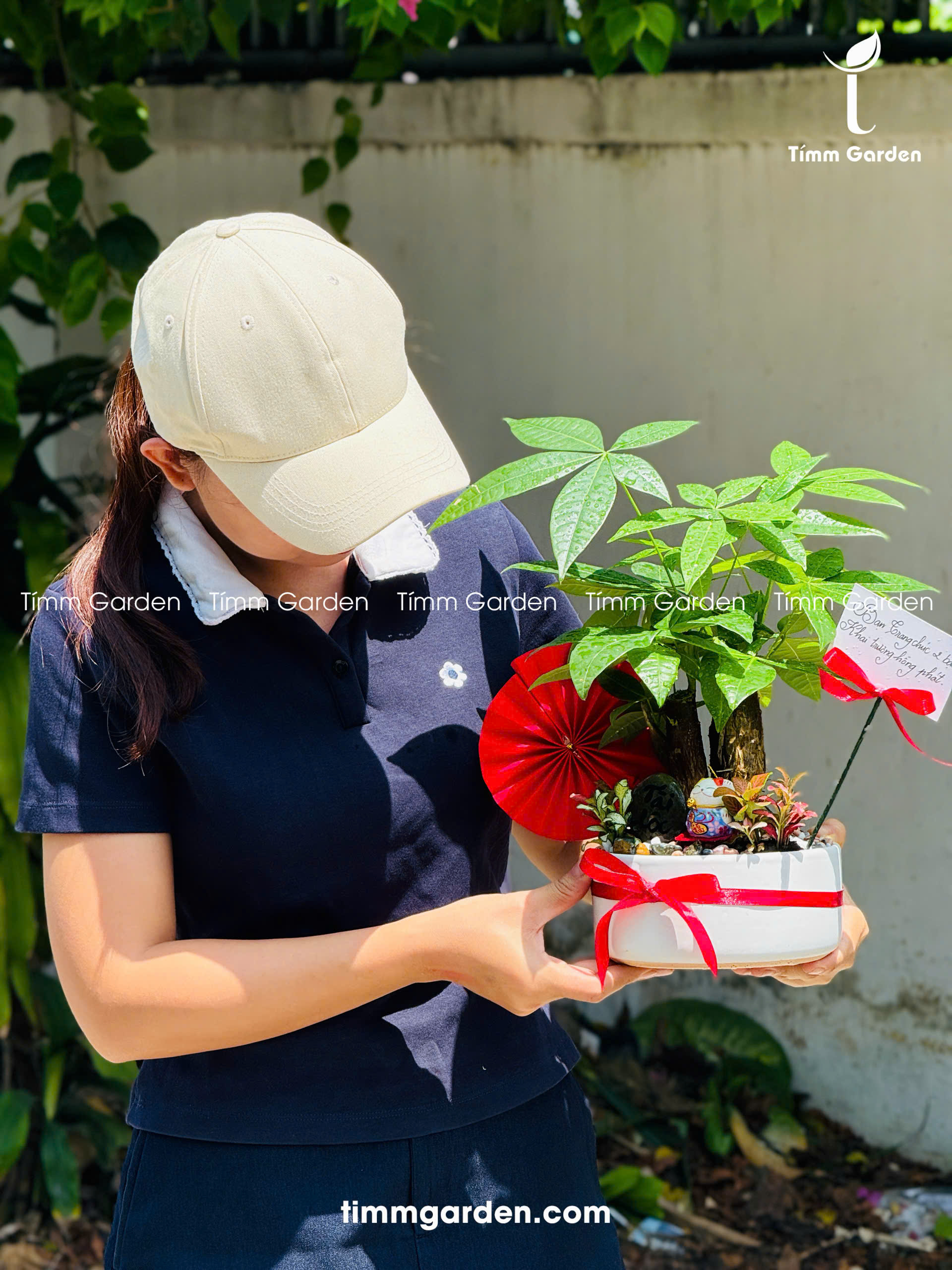 Chậu Tiểu Cảnh Kim Ngân Để Bàn Tặng Khai Trương - Ảnh 2