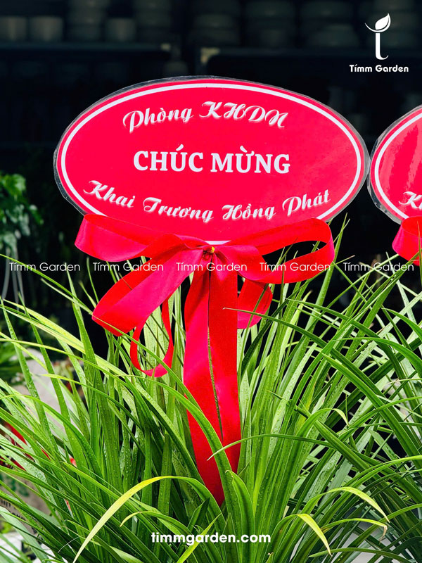 Phát Tài Núi Thái Tặng Khai Trương, Tân Gia HCM - Ảnh 5